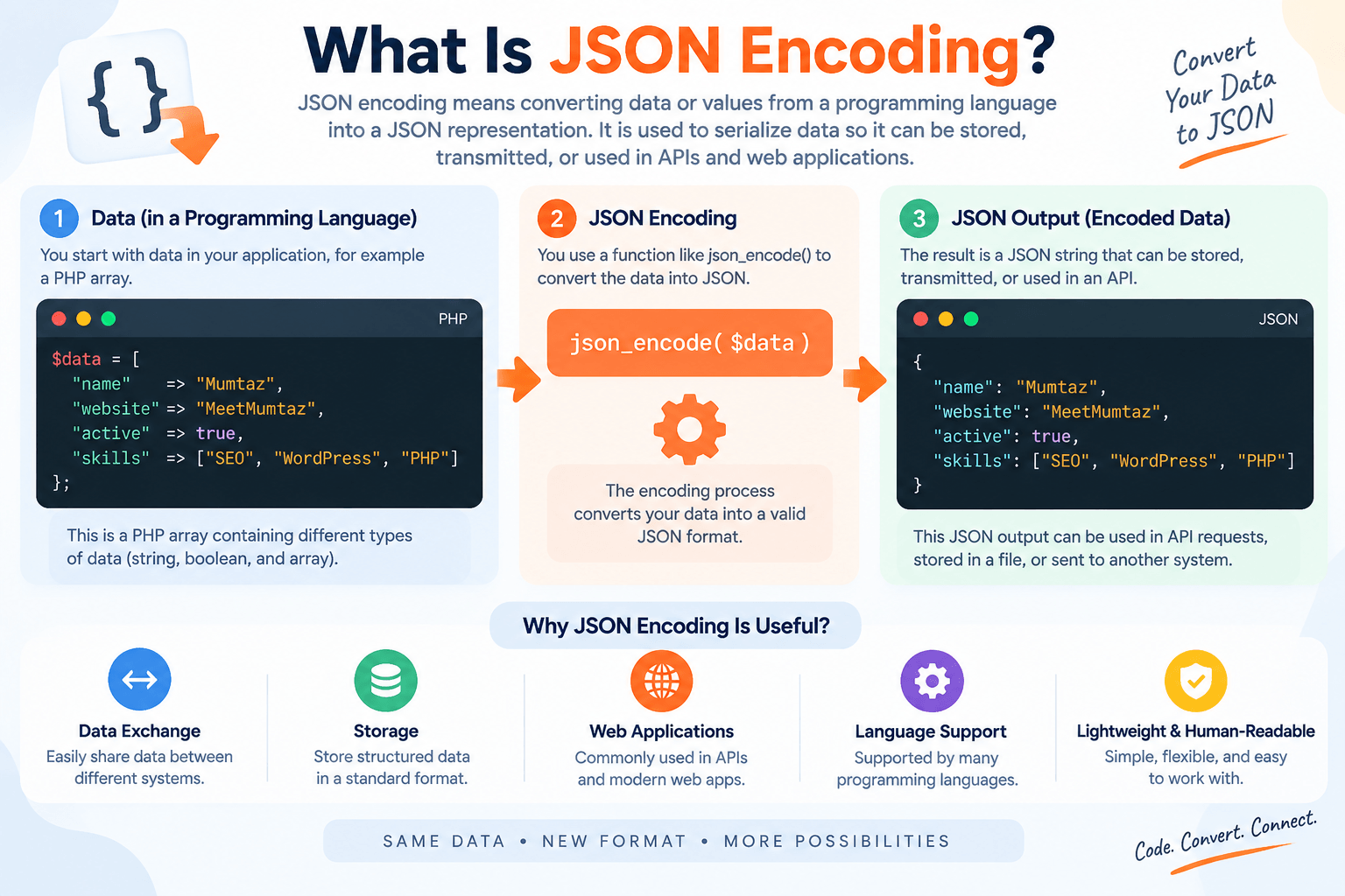 JSON Encoding Explained Infographic